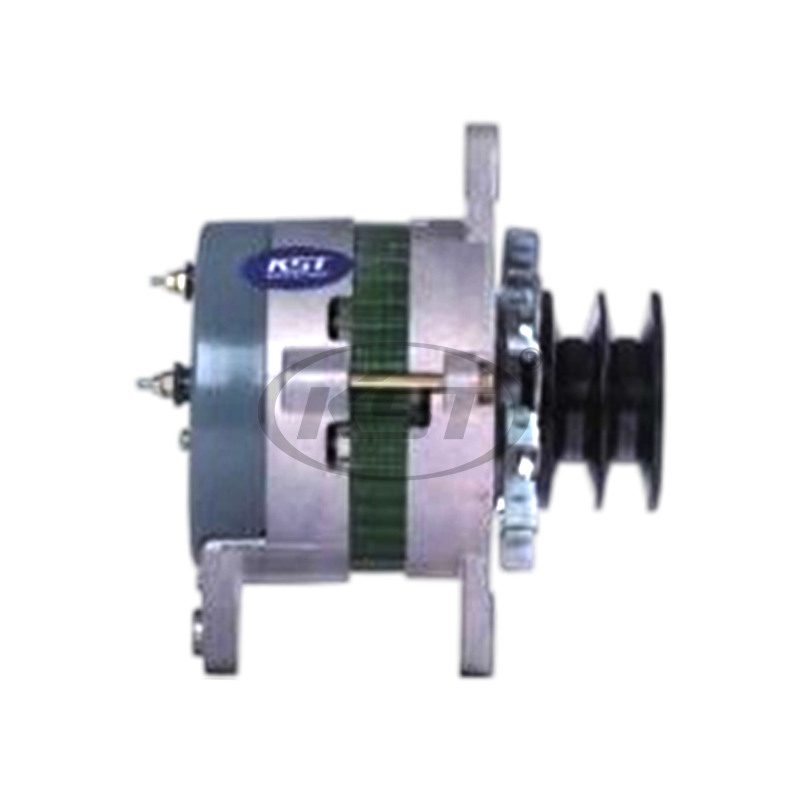 350004510 6008256250 Construction Vehicle Alternator for Nikko Series 6D125/PC400-6